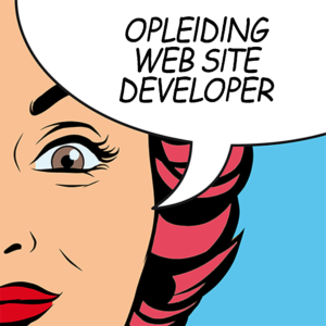 gmi-designschool-web-site-developer