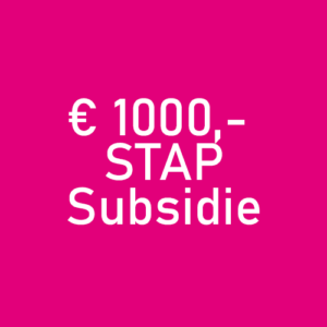 1000 e subsidie