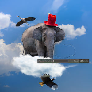 Gmi designschool Photoshop cursus met Aartificial Intelligence